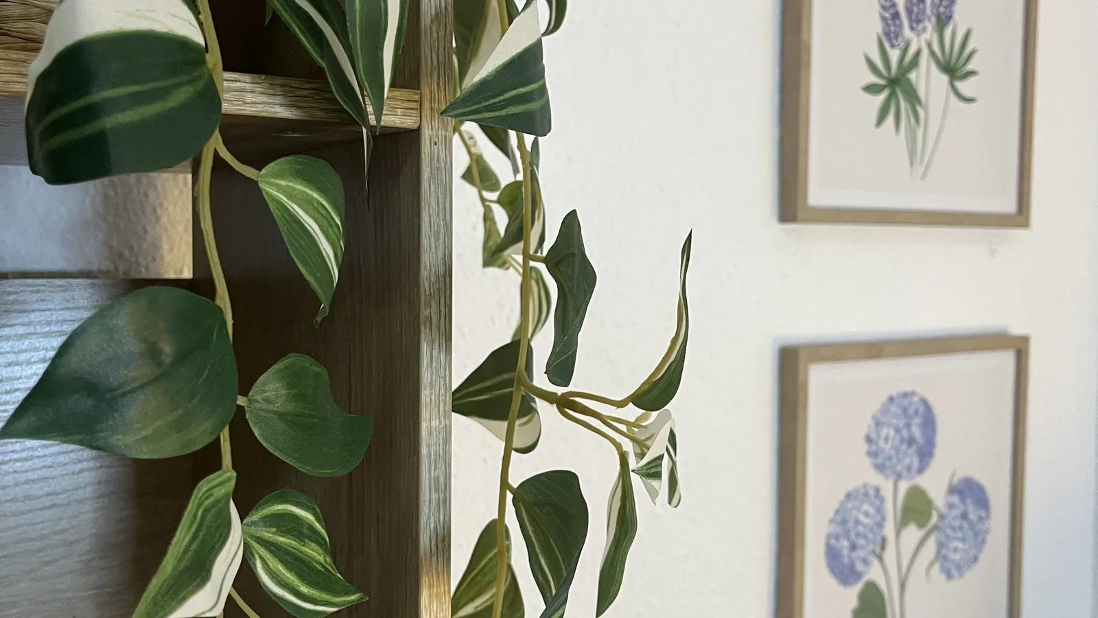 A corner of the practice with plants and botanical prints